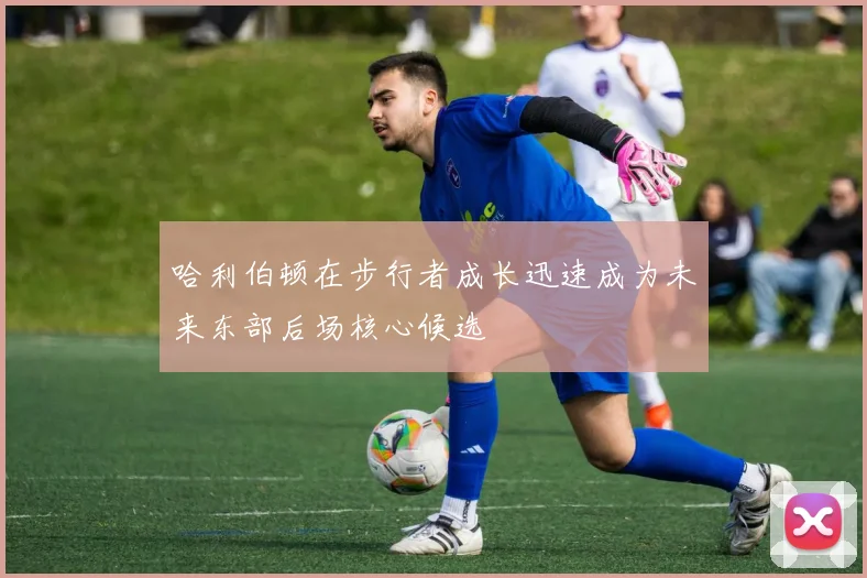 哈利伯顿在步行者成长迅速成为未来东部后场核心候选