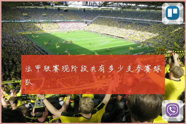 法甲联赛现阶段共有多少支参赛球队