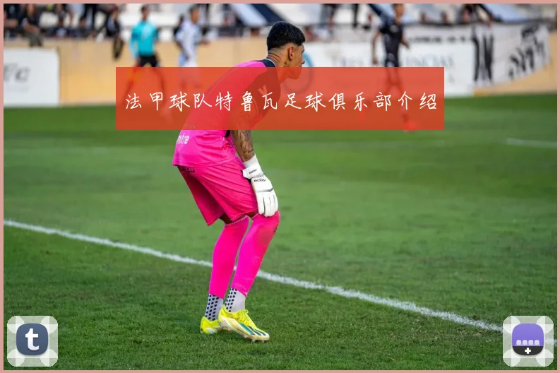 法甲球队特鲁瓦足球俱乐部介绍