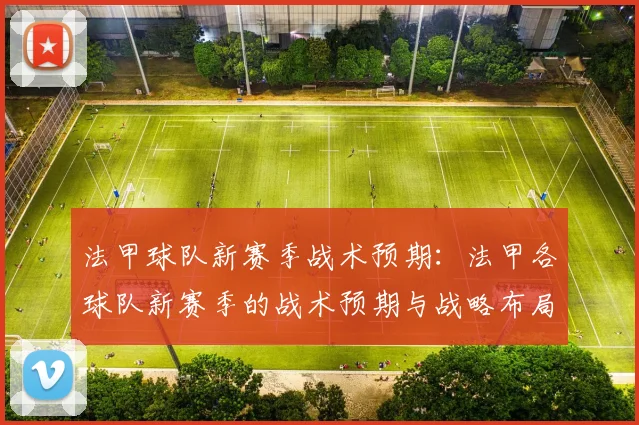 法甲球队新赛季战术预期：法甲各球队新赛季的战术预期与战略布局