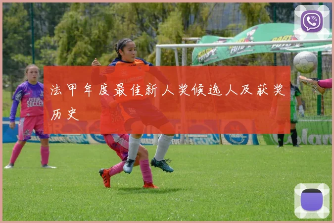 法甲年度最佳新人奖候选人及获奖历史